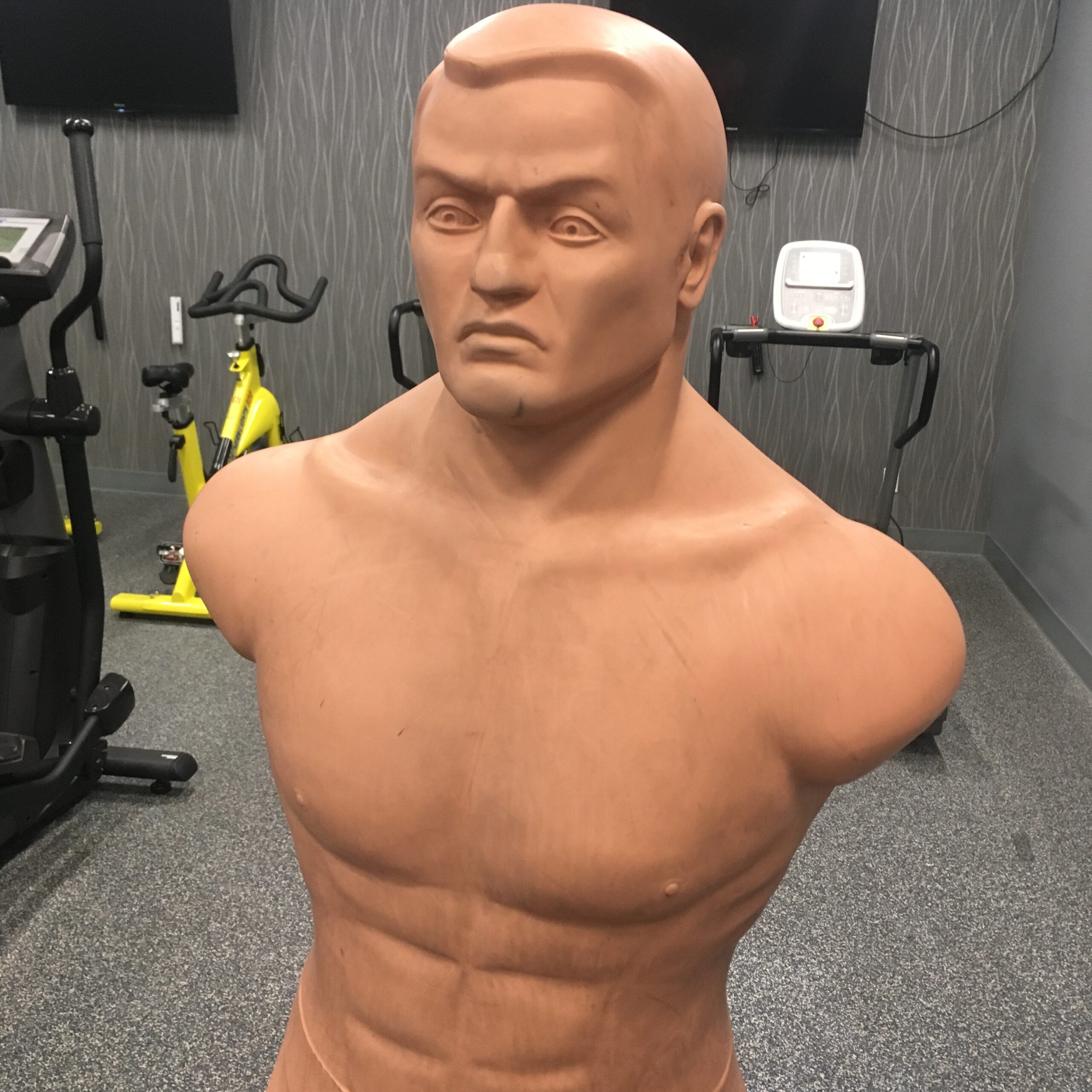 A male mannequin head and torso posed in front of gym equipement