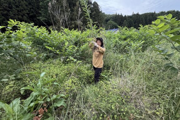 A woman with a black hat, tan shirt, black pants and work gloves holds up a plant with a tall stock. She stands in a field thick with different green plants.