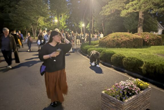 A crowd of people is walking along a sidewalk lit by streetlights. It is evening. A figure in an animal costume, dark fur with white paws (gloves and boots) walks along the edge of the path on all fours.